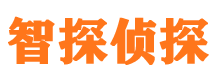 兰西市私家侦探